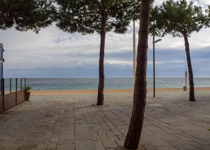 Embajador 1 Per 4 Persones A Primera Linia De Mar بلاتجا ذارو