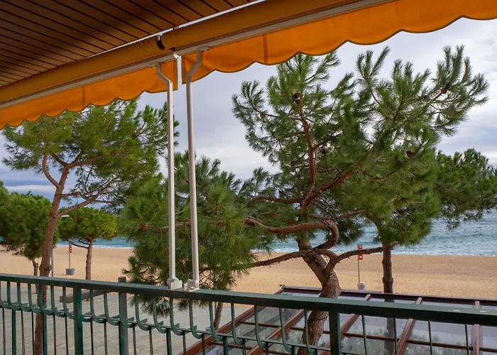 Embajador 1 Per 4 Persones A Primera Linia De Mar Apartmán